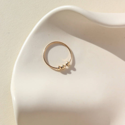 Meridian Fidget Ring in 14k Gold Fill or Sterling Silver 