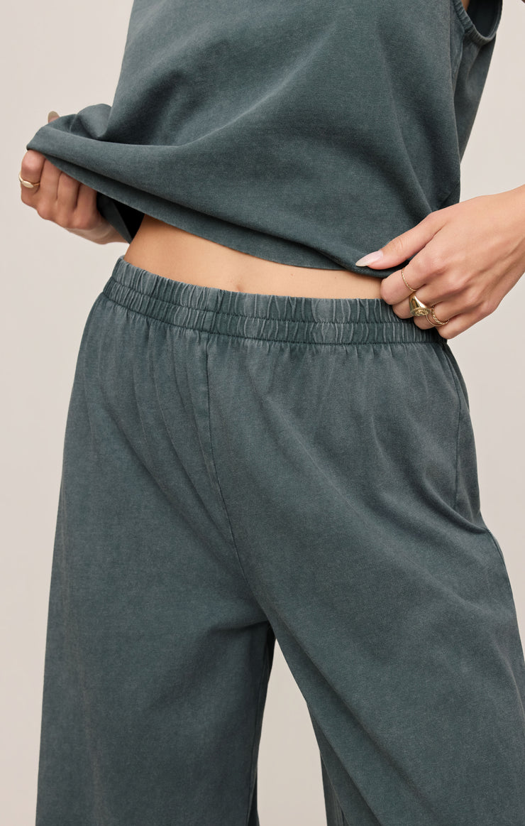 Scout jersey pant - Z supply