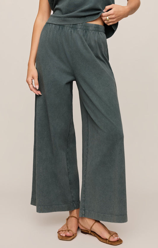 Scout jersey pant - Z supply