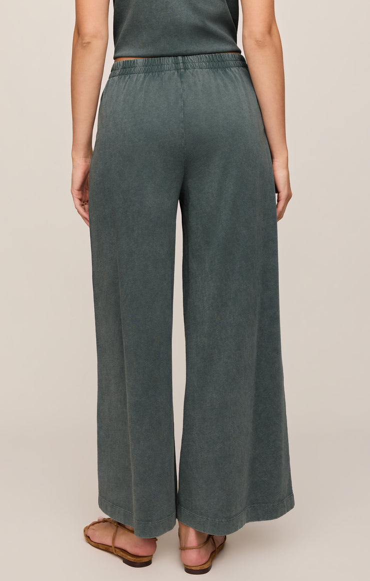 Scout jersey pant - Z supply